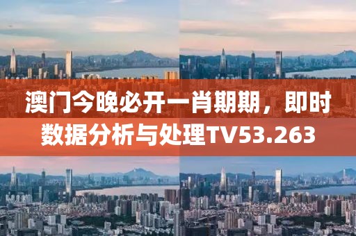 澳门今晚必开一肖期期，即时数据分析与处理TV53.263