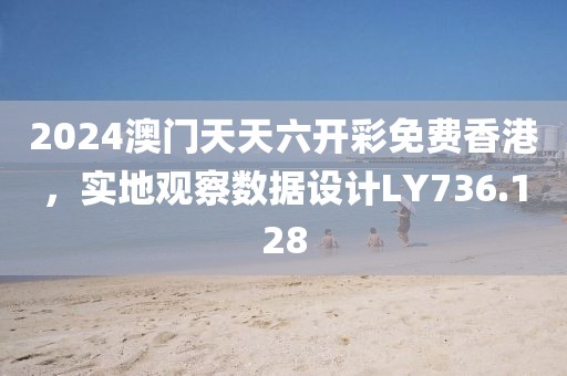 2024澳门天天六开彩免费香港，实地观察数据设计LY736.128