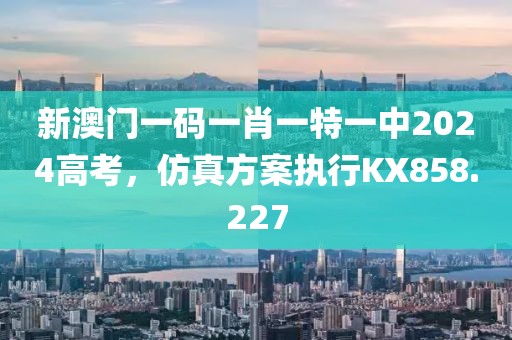 新澳门一码一肖一特一中2024高考，仿真方案执行KX858.227