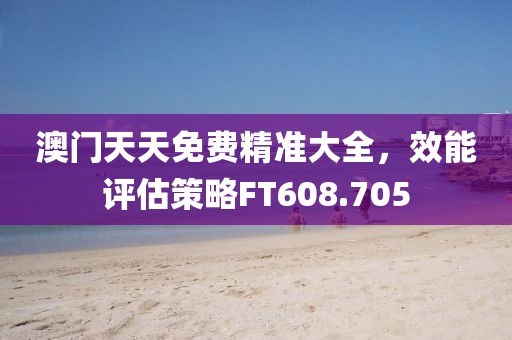 澳门天天免费精准大全，效能评估策略FT608.705