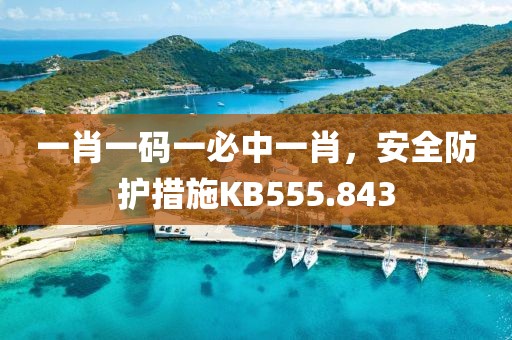 一肖一码一必中一肖，安全防护措施KB555.843