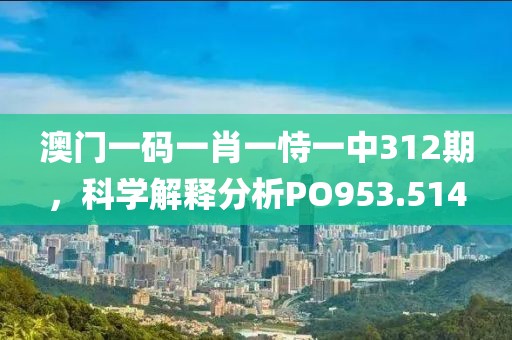 澳门一码一肖一恃一中312期，科学解释分析PO953.514