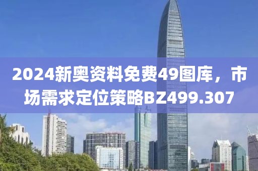 2024新奥资料免费49图库，市场需求定位策略BZ499.307