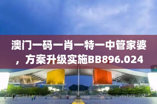 澳门一码一肖一特一中管家婆，方案升级实施BB896.024