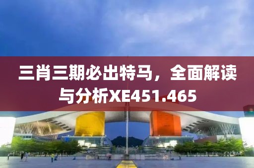 三肖三期必出特马，全面解读与分析XE451.465