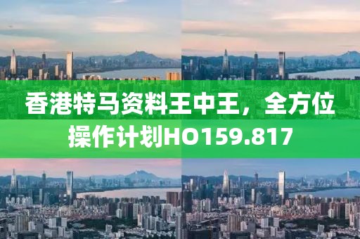 香港特马资料王中王，全方位操作计划HO159.817