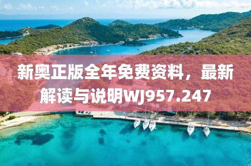 新奥正版全年免费资料，最新解读与说明WJ957.247