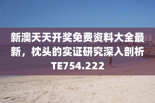 新澳天天开奖免费资料大全最新，枕头的实证研究深入剖析TE754.222
