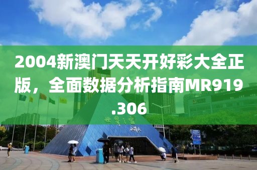 2004新澳门天天开好彩大全正版，全面数据分析指南MR919.306