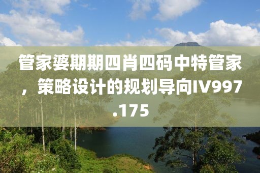 管家婆期期四肖四码中特管家，策略设计的规划导向IV997.175