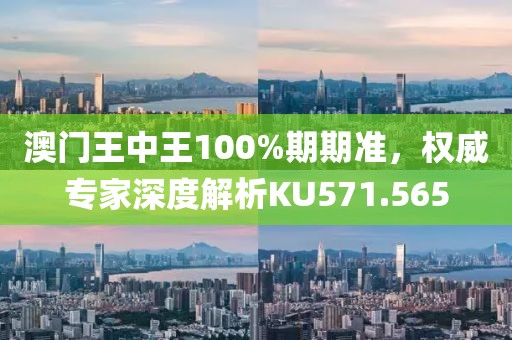 澳门王中王100%期期准，权威专家深度解析KU571.565