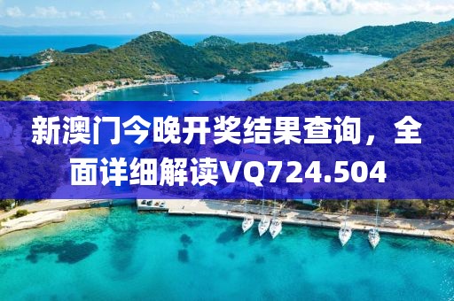 新澳门今晚开奖结果查询，全面详细解读VQ724.504