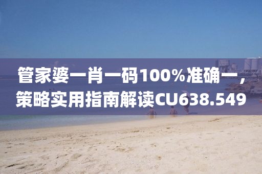 管家婆一肖一码100%准确一，策略实用指南解读CU638.549