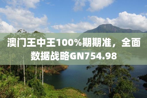 澳门王中王100%期期准，全面数据战略GN754.98
