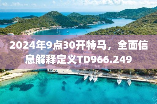 2024年9点30开特马，全面信息解释定义TD966.249