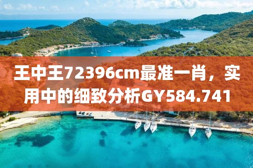 王中王72396cm最准一肖，实用中的细致分析GY584.741