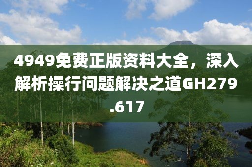 4949免费正版资料大全，深入解析操行问题解决之道GH279.617