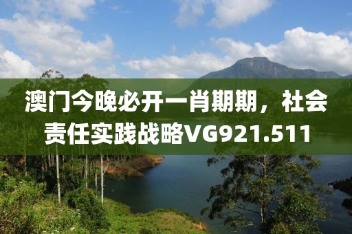 澳门今晚必开一肖期期，社会责任实践战略VG921.511