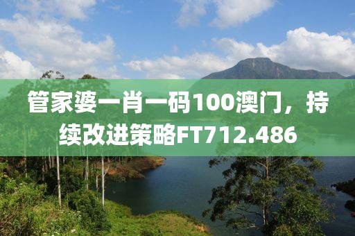 管家婆一肖一码100澳门，持续改进策略FT712.486