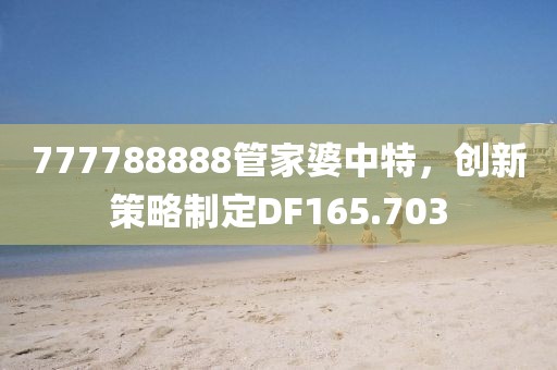 777788888管家婆中特，创新策略制定DF165.703
