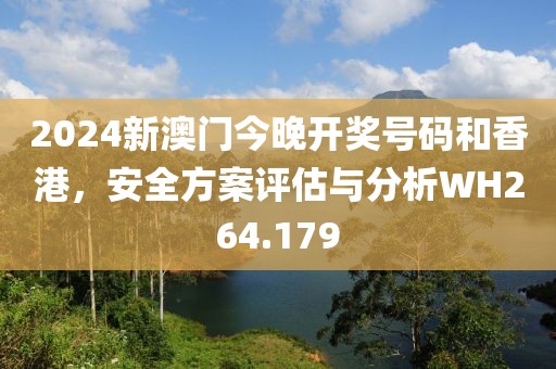 2024新澳门今晚开奖号码和香港，安全方案评估与分析WH264.179