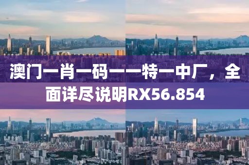 澳门一肖一码一一特一中厂，全面详尽说明RX56.854