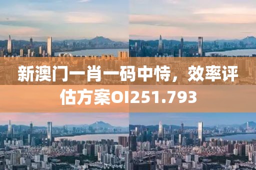 新澳门一肖一码中恃，效率评估方案OI251.793