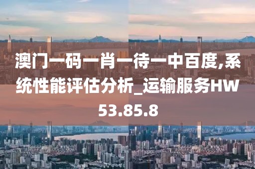 澳门一码一肖一待一中百度,系统性能评估分析_运输服务HW53.85.8