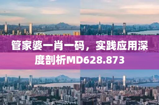 管家婆一肖一码，实践应用深度剖析MD628.873