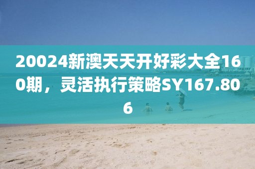 20024新澳天天开好彩大全160期，灵活执行策略SY167.806