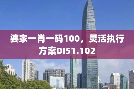 婆家一肖一码100，灵活执行方案DI51.102