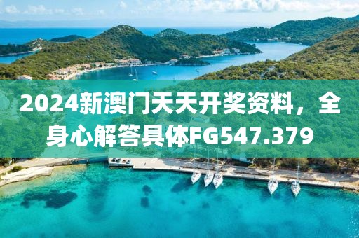 2024新澳门天天开奖资料，全身心解答具体FG547.379
