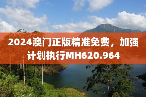 2024澳门正版精准免费，加强计划执行MH620.964