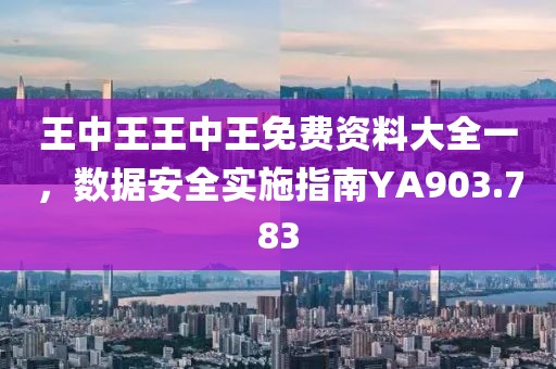 王中王王中王免费资料大全一，数据安全实施指南YA903.783