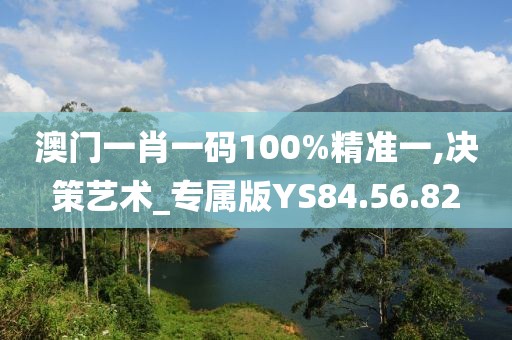 澳门一肖一码100%精准一,决策艺术_专属版YS84.56.82