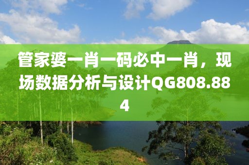 管家婆一肖一码必中一肖，现场数据分析与设计QG808.884