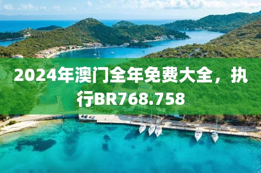 2024年澳门全年免费大全，执行BR768.758