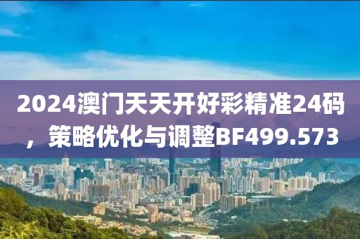 2024澳门天天开好彩精准24码，策略优化与调整BF499.573
