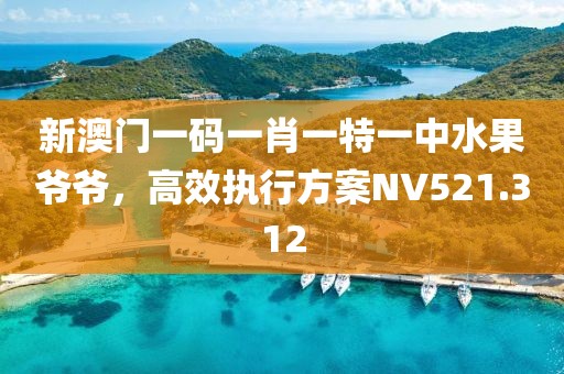 新澳门一码一肖一特一中水果爷爷，高效执行方案NV521.312