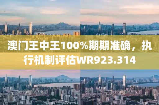 澳门王中王100%期期准确，执行机制评估WR923.314