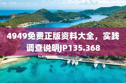 4949免费正版资料大全，实践调查说明JP135.368