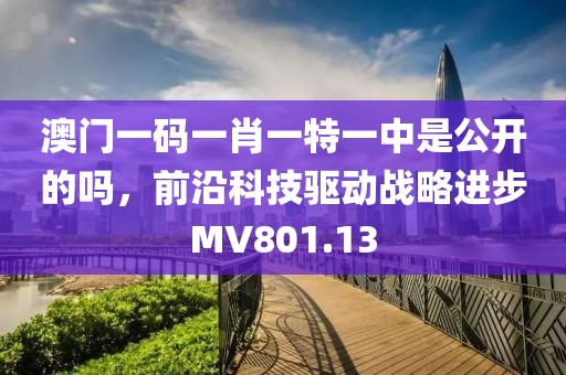 澳门一码一肖一特一中是公开的吗，前沿科技驱动战略进步MV801.13