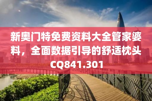 新奥门特免费资料大全管家婆料，全面数据引导的舒适枕头CQ841.301