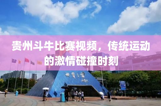 贵州斗牛比赛视频，传统运动的激情碰撞时刻