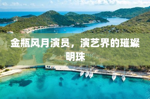 金瓶风月演员，演艺界的璀璨明珠