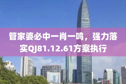管家婆必中一肖一鸣，强力落实QJ81.12.61方案执行