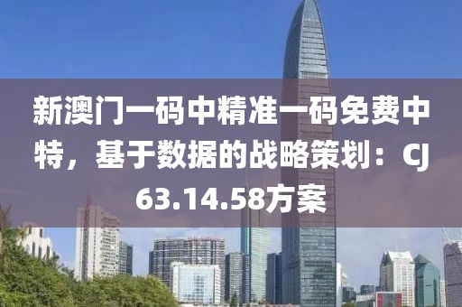 新澳门一码中精准一码免费中特，基于数据的战略策划：CJ63.14.58方案