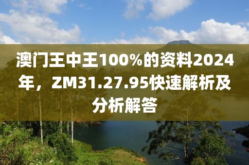 澳门王中王100%的资料2024年，ZM31.27.95快速解析及分析解答
