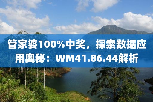 管家婆100%中奖，探索数据应用奥秘：WM41.86.44解析