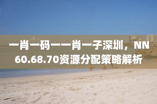 一肖一码一一肖一子深圳，NN60.68.70资源分配策略解析